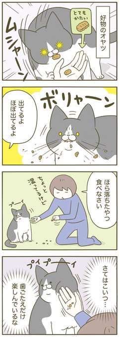 猫と嗜好 