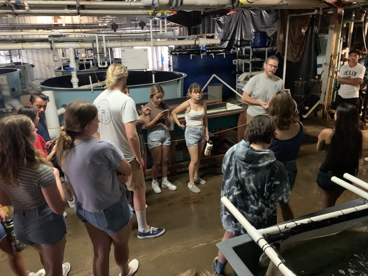 WillJacoway's tweet photo. Thanks @hubbsmikes and @helixcharter for another great field trip getting #SITC students experiencing the @HubbsResearch hatchery’s program. #HelixCharter #ExperienceScience #ScienceOutside https://t.co/pHo4yCcZQe