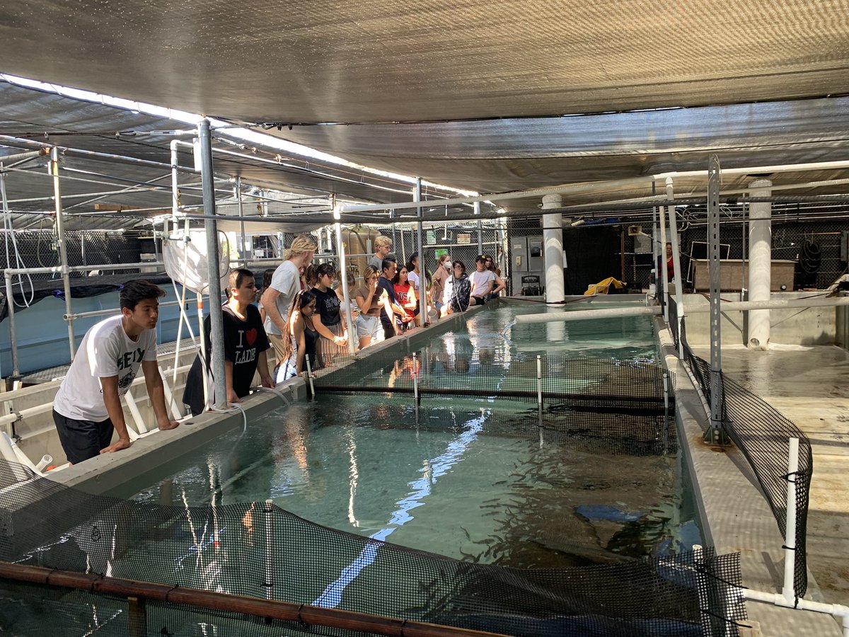WillJacoway's tweet photo. Thanks @hubbsmikes and @helixcharter for another great field trip getting #SITC students experiencing the @HubbsResearch hatchery’s program. #HelixCharter #ExperienceScience #ScienceOutside https://t.co/pHo4yCcZQe