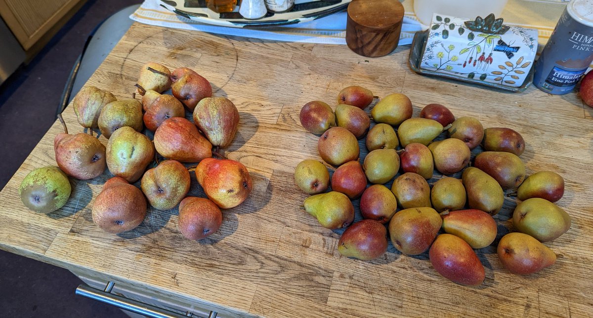 A peary good harvest today.