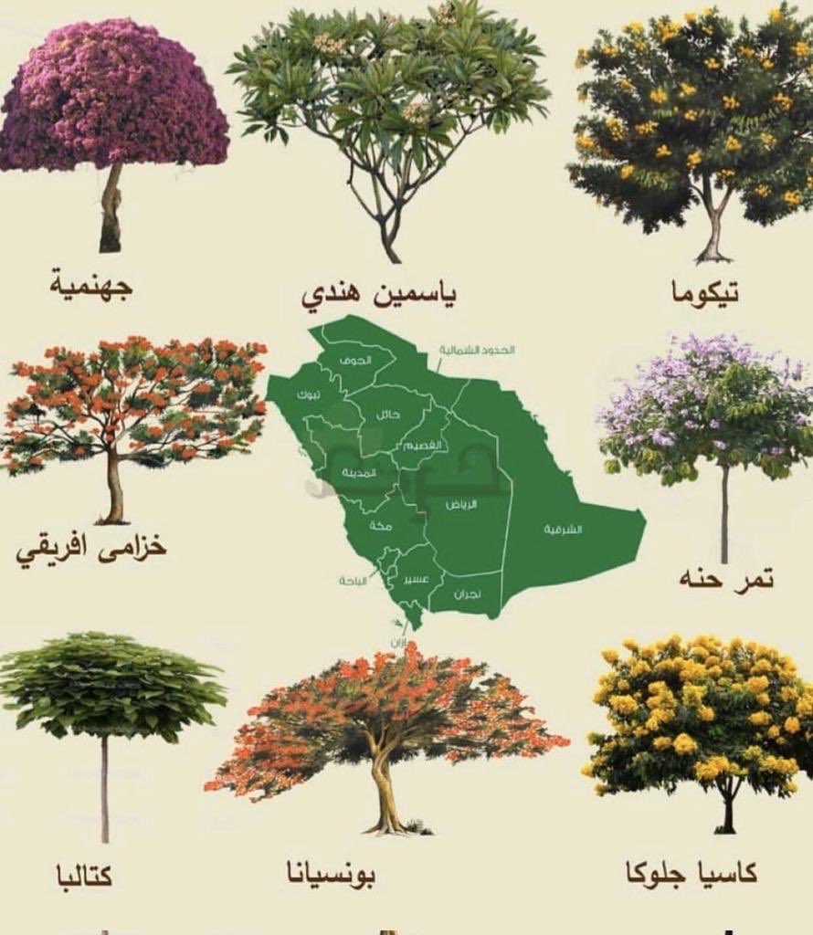 KHAMREYSADEK's tweet photo. https://t.co/OXAicPhfdB