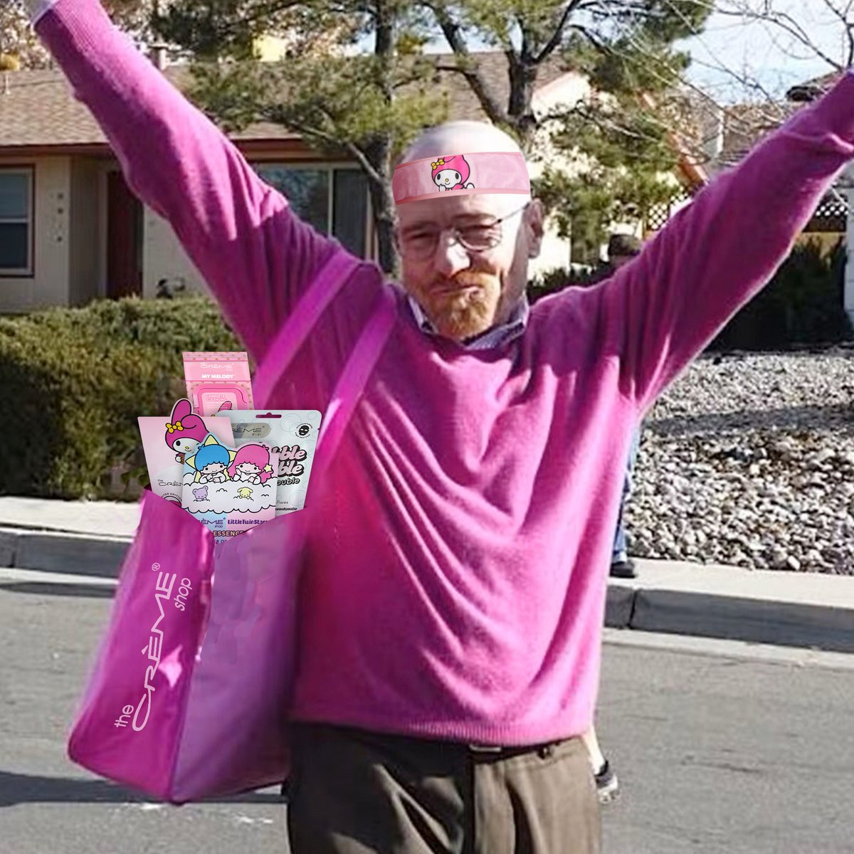 spending my entire paycheck on sanrio like