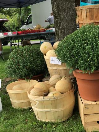 TOWN OF NISKAYUNA FARMERS MARKET
dlvr.it/SYSsBF dlvr.it/SYSsBQ