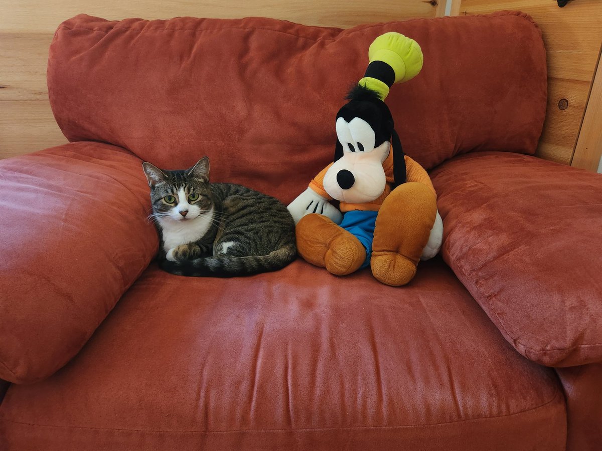 Goofy for scale.