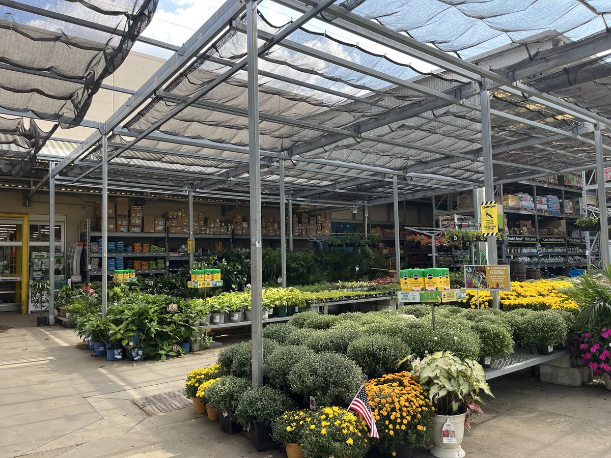 Amanda Fore (@fore_amanda) on Twitter photo HD 2016 looking fab-fall-ulous! All those mums are incredible, great job team Bell SA! <a href="/NalleyChris/">nalley's</a> <a href="/JoeAutry/">Landshark Joe</a> <a href="/BellNursery/">Bell Nursery</a> <a href="/rmathis333_rick/">Rick Mathis</a> <a href="/brianfrombell/">Brian Harrison</a> HD 2016 looking fab-fall-ulous! All those mums are incredible, great job team Bell SA! <a href="/NalleyChris/">nalley's</a> <a href="/JoeAutry/">Landshark Joe</a> <a href="/BellNursery/">Bell Nursery</a> <a href="/rmathis333_rick/">Rick Mathis</a> <a href="/brianfrombell/">Brian Harrison</a>