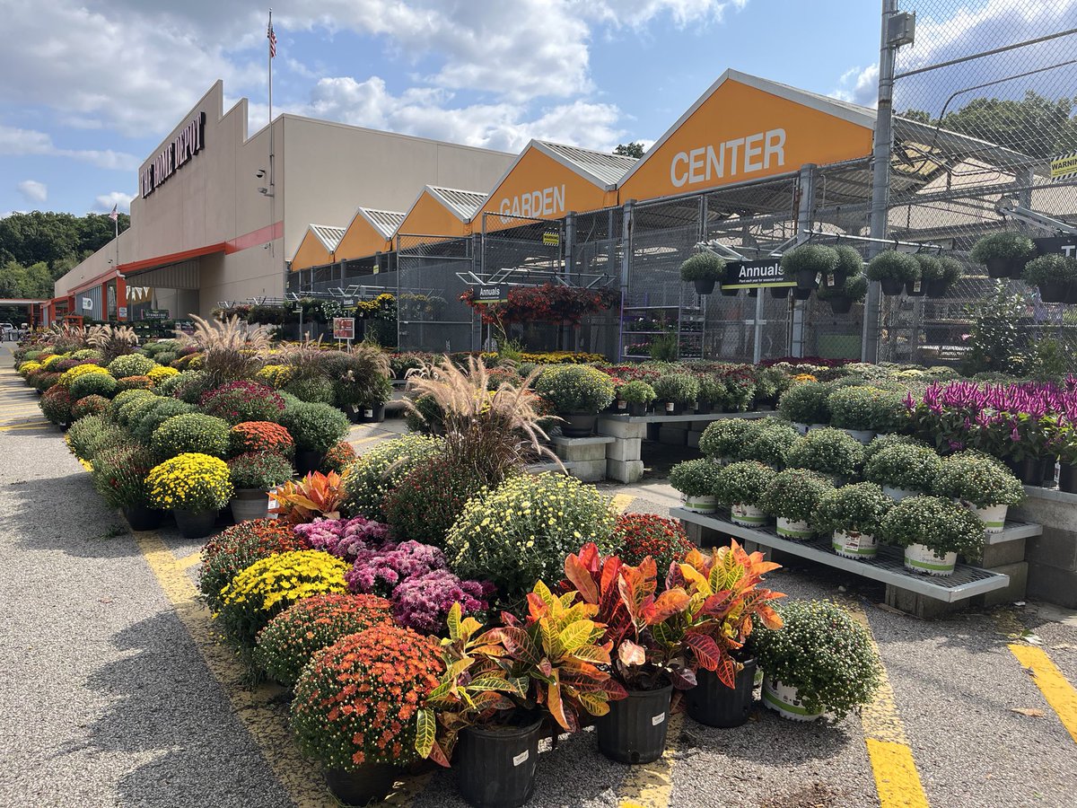 Amanda Fore tweet media