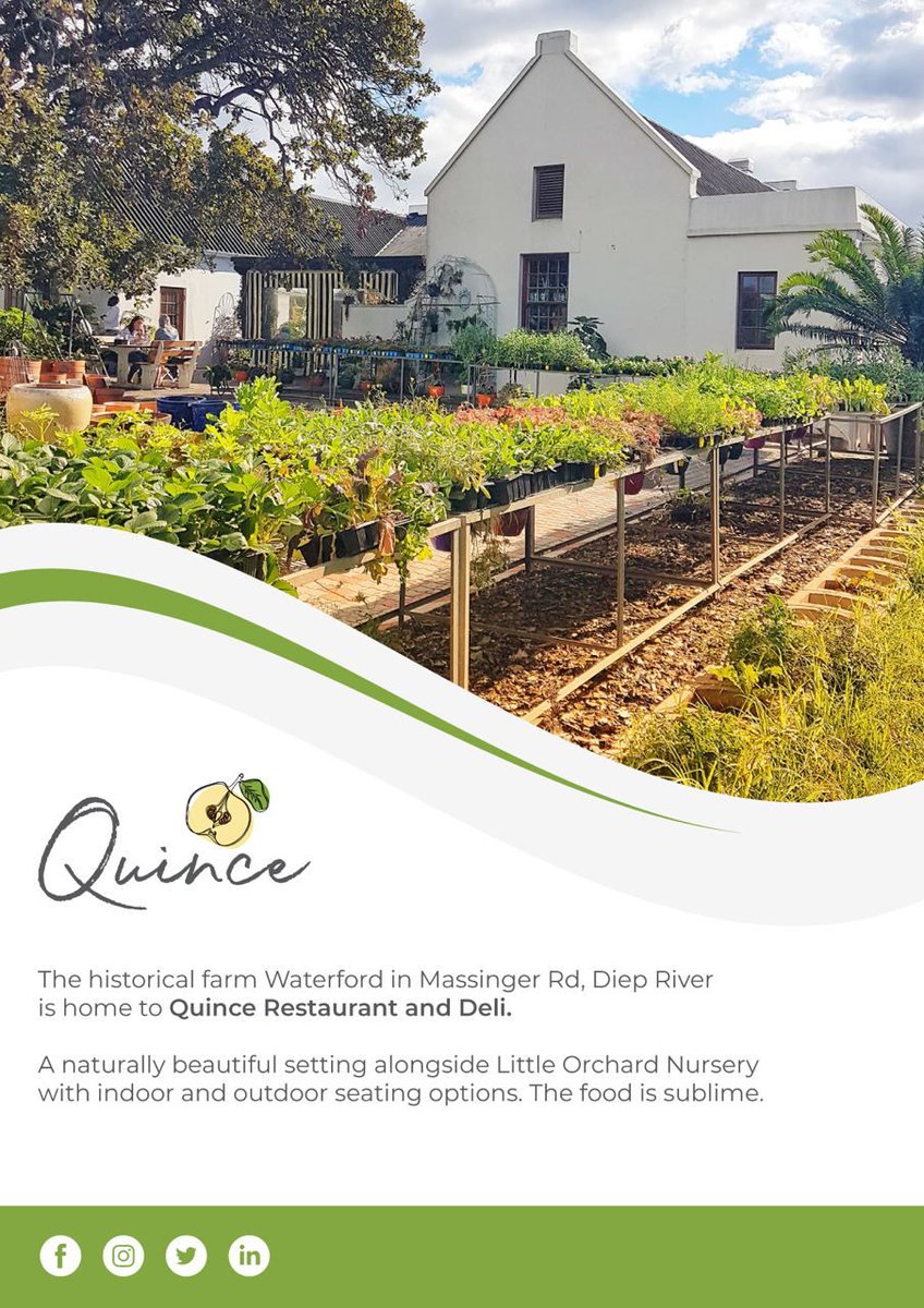 Try it...you'll be so glad you did.
<a href="/Eat_Out/">Eat Out</a>