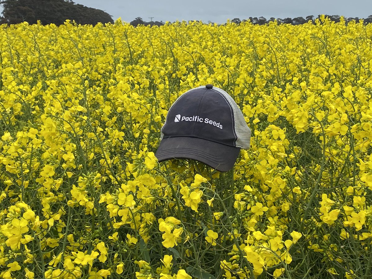 Justin Kudnig tweet media