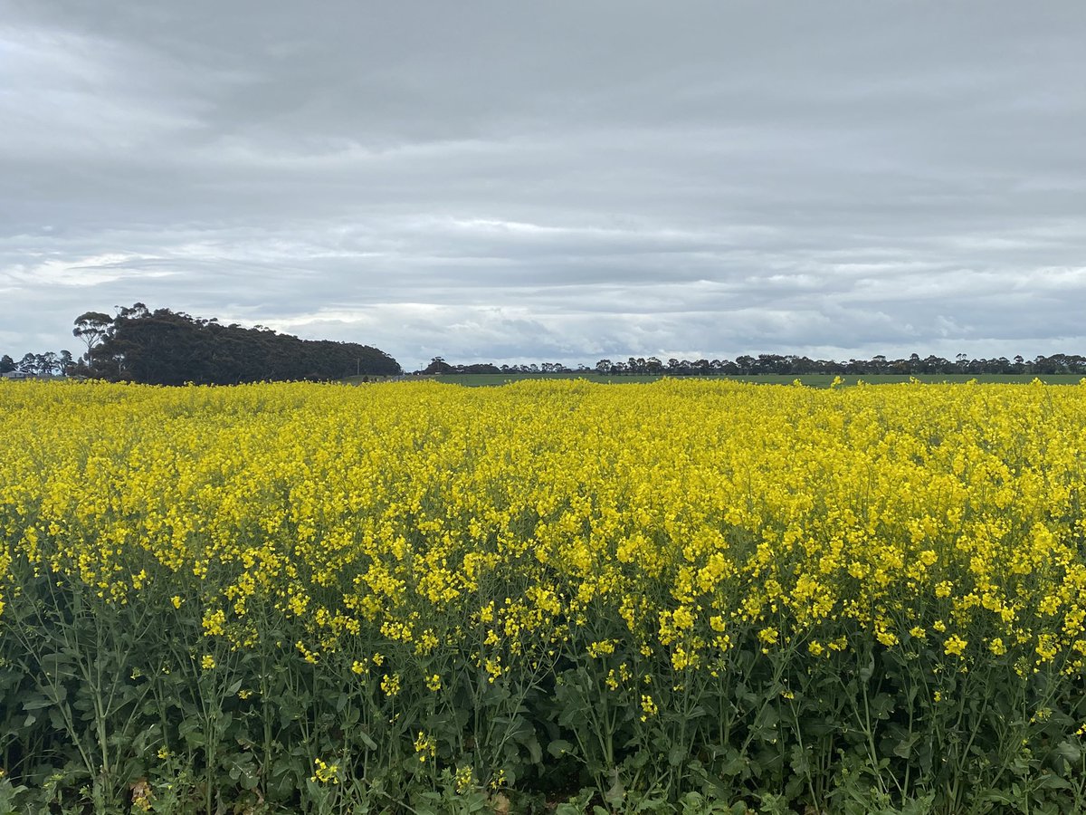 Justin Kudnig tweet media