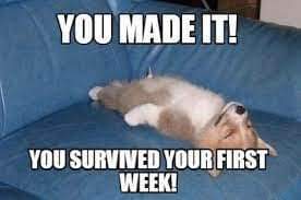 sdicecco's tweet photo. Great job Wolfpack!! We made it through our first FULL week of school!! Time to kick back, relax and enjoy the weekend!! See you all on Monday! 🥰 @PS14Bronx

-Ms Susy https://t.co/CPWWwgSmBn