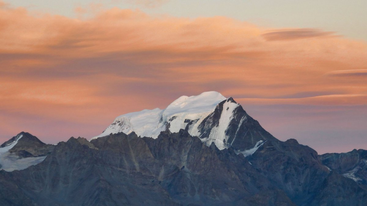 Al Powell tweet media