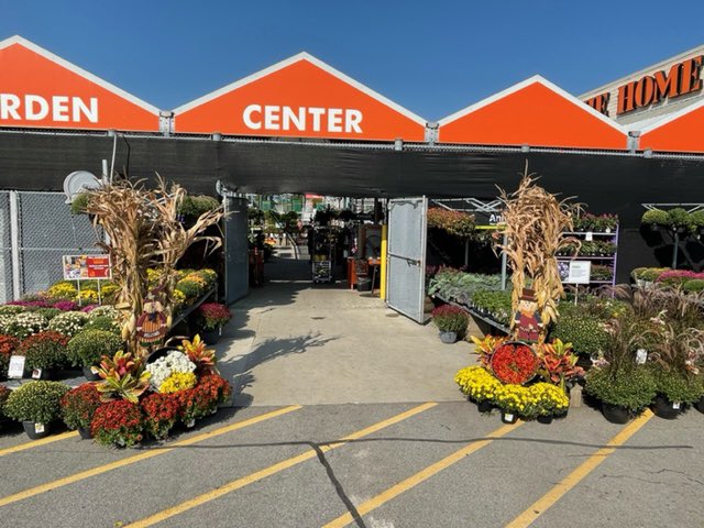 Amanda Fore tweet media