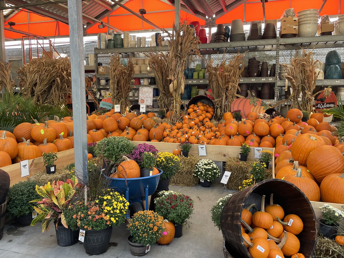 Amanda Fore (@fore_amanda) on Twitter photo HD 2014 has all the fall feels, looks amazing- Thank you Heather and Bell Team Indy! <a href="/BellNursery/">Bell Nursery</a> <a href="/rmathis333_rick/">Rick Mathis</a> <a href="/BPlantenberg/">Brody Plantenberg</a> <a href="/KOKOLGM/">Mark Kociubinski</a> <a href="/brianfrombell/">Brian Harrison</a> HD 2014 has all the fall feels, looks amazing- Thank you Heather and Bell Team Indy! <a href="/BellNursery/">Bell Nursery</a> <a href="/rmathis333_rick/">Rick Mathis</a> <a href="/BPlantenberg/">Brody Plantenberg</a> <a href="/KOKOLGM/">Mark Kociubinski</a> <a href="/brianfrombell/">Brian Harrison</a>