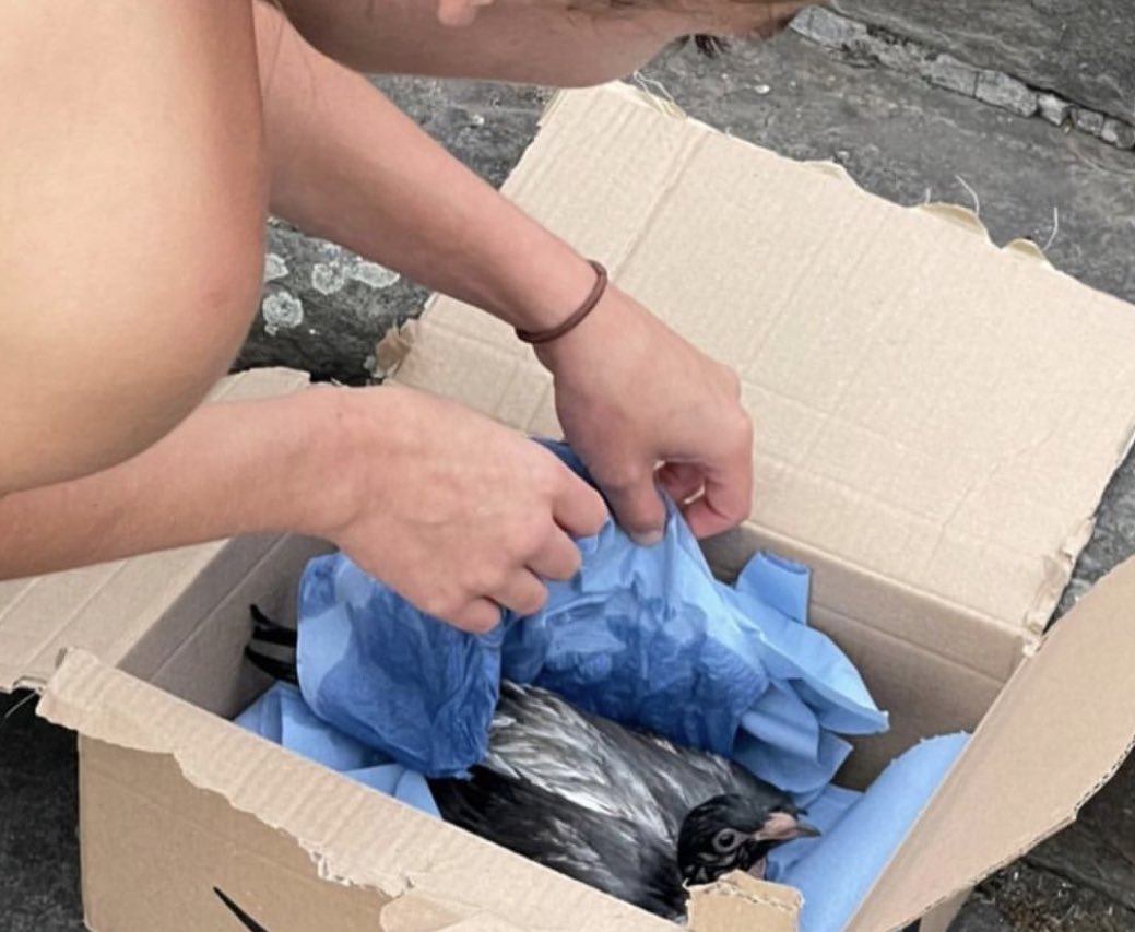 "Unboxing iPhone 14"