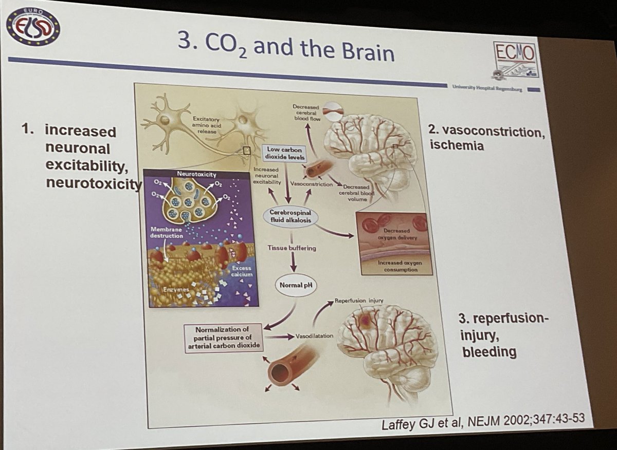 abribriesco43's tweet photo. /2 #ELSO2022 @ELSOOrg
#CerberalPerfusion on #ECPR
#MAP = #Afterload for #Heart
#Flow is key for #O2Delivery
Avoid rapid change in #CO2
@PennyRampersad @AaronWeissMD @EdSolteszMD @Tarig_Omer @CCF_CTSRes @CCF_PCCM @CCFcards @RespiratorySCCM https://t.co/tQKPOK0apv