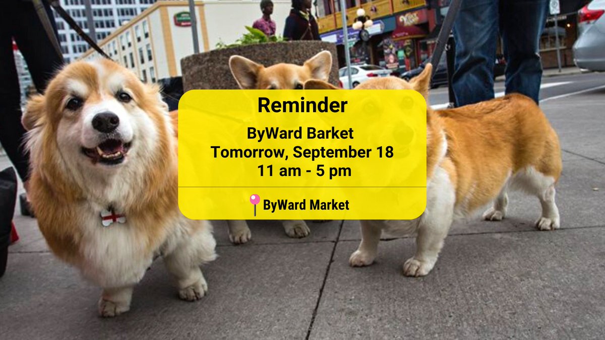 ByWardMarket_'s tweet image. The ByWard Barket is tomorrow, Sunday, September 18, from 11-5 PM. 

It’s fur sure a pawty! 🐾🥳
Come to the Market with your dog. 

There will be live canine art, a dog fashion show contest, a scavenger hunt,  and much more! 

You don’t want to miss it!  

#bywardmarket #Barket