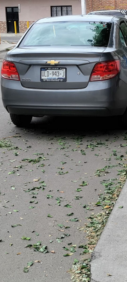 Iowi_G's tweet photo. Cuidado con las estafas y las placas falsas @gobqro aprovechando, no que íbamos a tener mayor seguridad con las nuevas placas ?

Resulta que hoy le regale un xbox a un desconocido (me estafo) el trato era un Series S aún con garantía por 5500 en caja, accesorios y manuales. https://t.co/vJjOnx7F82