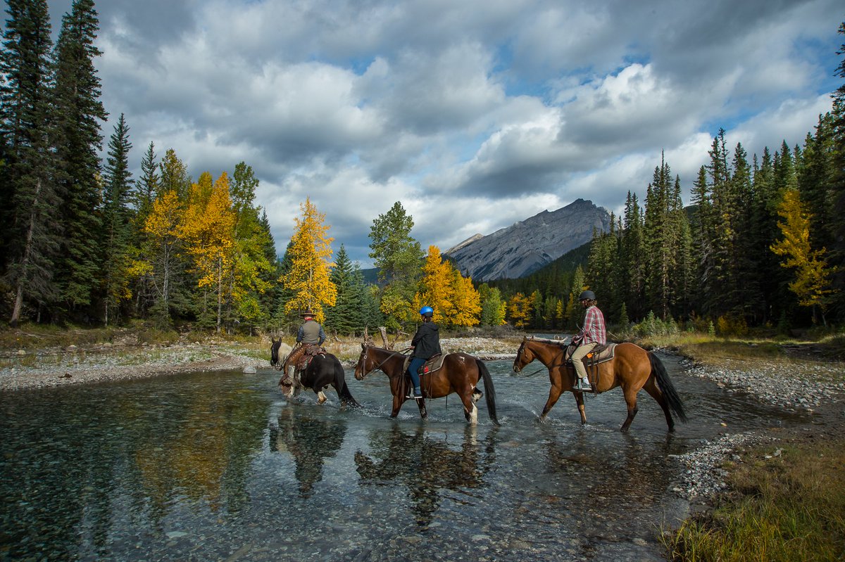 Banff & Lake Louise Tourism tweet media