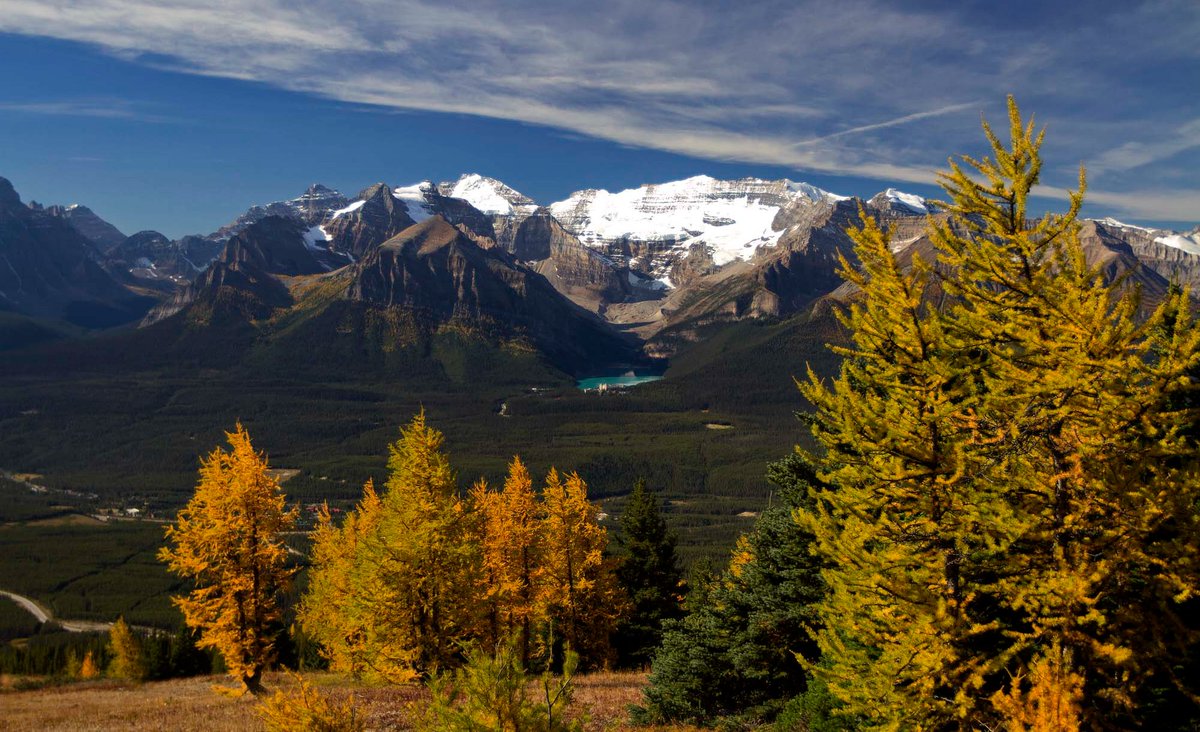 Banff & Lake Louise Tourism tweet media