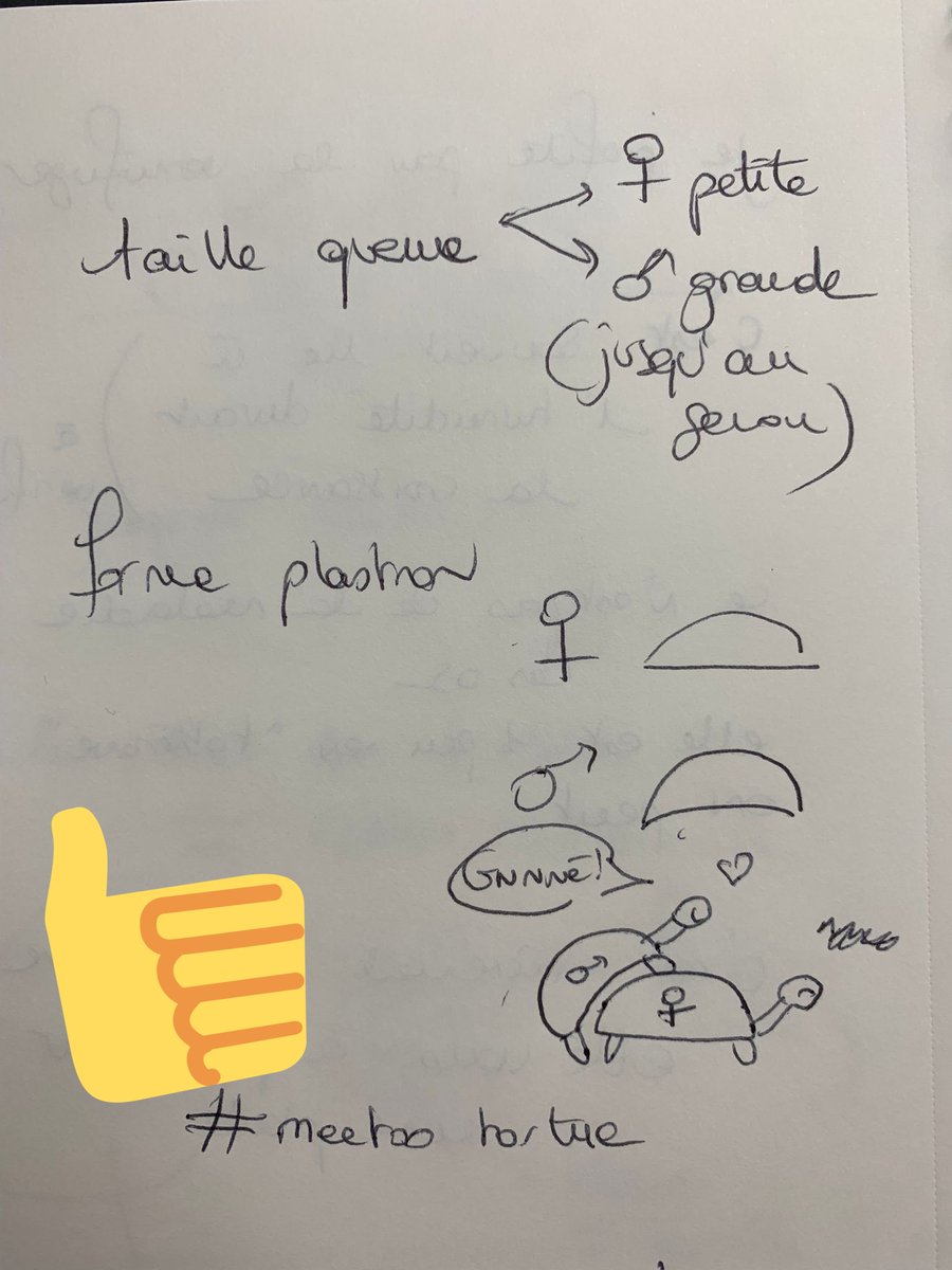 Vous aussi vous êtes d'excellents pédagogues et dessinateurs ? 😁