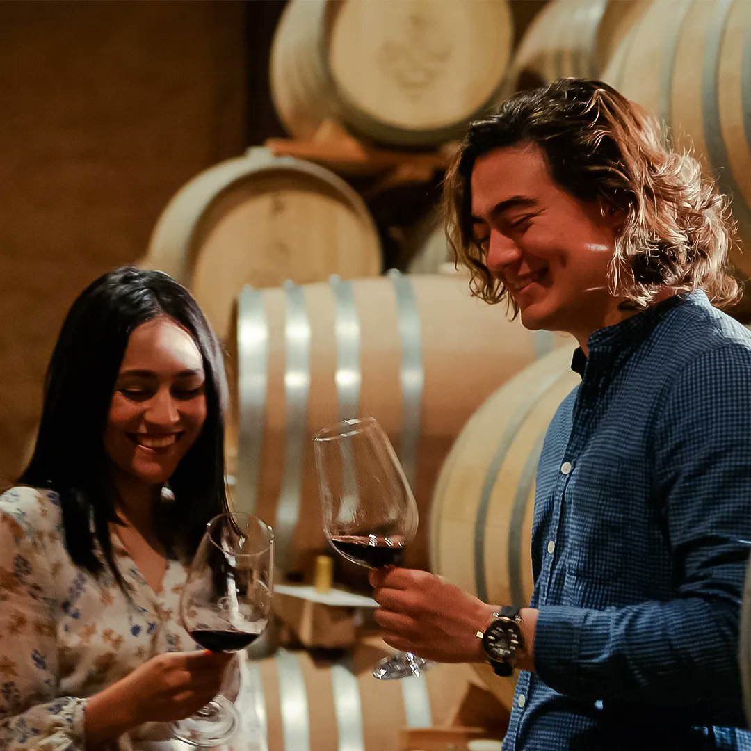 VinosElCielo's tweet photo. ¡Acompáñanos y disfruta Un Día en El Cielo!✨ 

Recorre nuestros hermosos viñedos 🍇, degusta en nuestra cava subterránea🍷 y prueba de una deliciosa comida maridaje de 4 tiempos 🍽

Reservaciones👇
🌐https://t.co/ZiyQ3hzVSk 
📱646 151 6515

 #VinosElCielo #Vendimia2022 https://t.co/yhqyidd36w