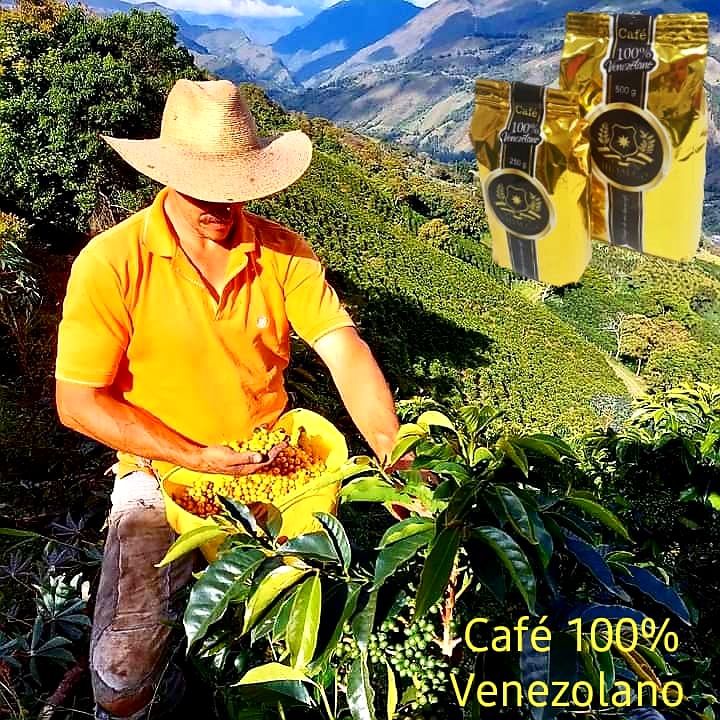 InternacionalMN's tweet photo. Hoy día internacional del Café queremos rendir tributo al productor caficultor venezolano compartimos este excelente trabajo de @FEDEAGRODIGITAL . @HidalgoKfe https://t.co/zEbWsKS12S