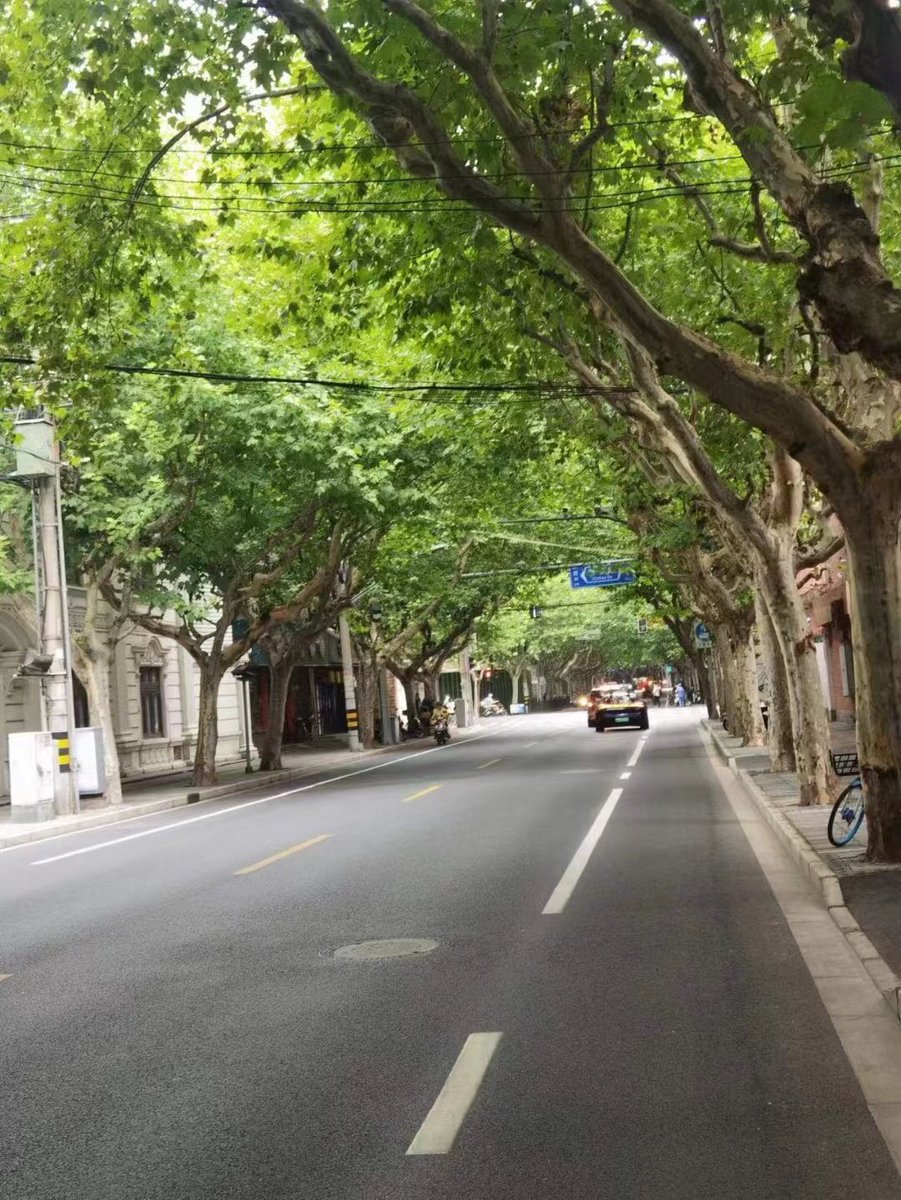 yinyi0708's tweet photo. https://t.co/MQYifa6RvV