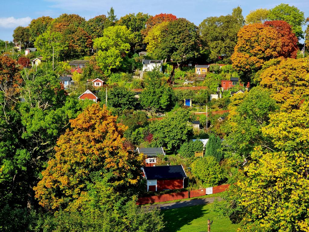 Herfstkleuren in Stockholm.