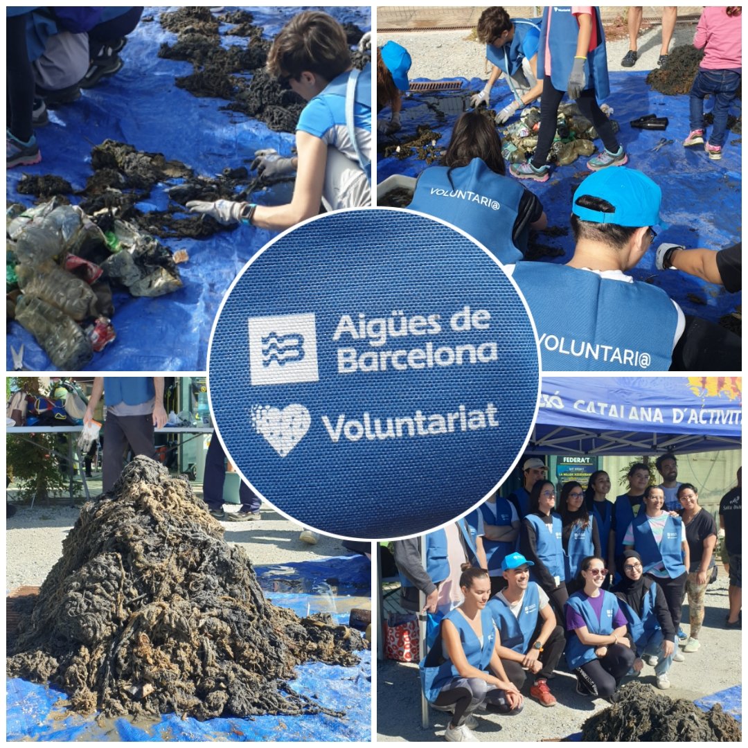 Acció de voluntariat d' <a href="/aiguesbcnclient/">Aigües de Barcelona</a> a la platja del Fòrum. Neteja del fons marí #gotesquesumen 💧 <a href="/FECDAStwit/">Federació Catalana d′Activitats Subaquàtiques</a>