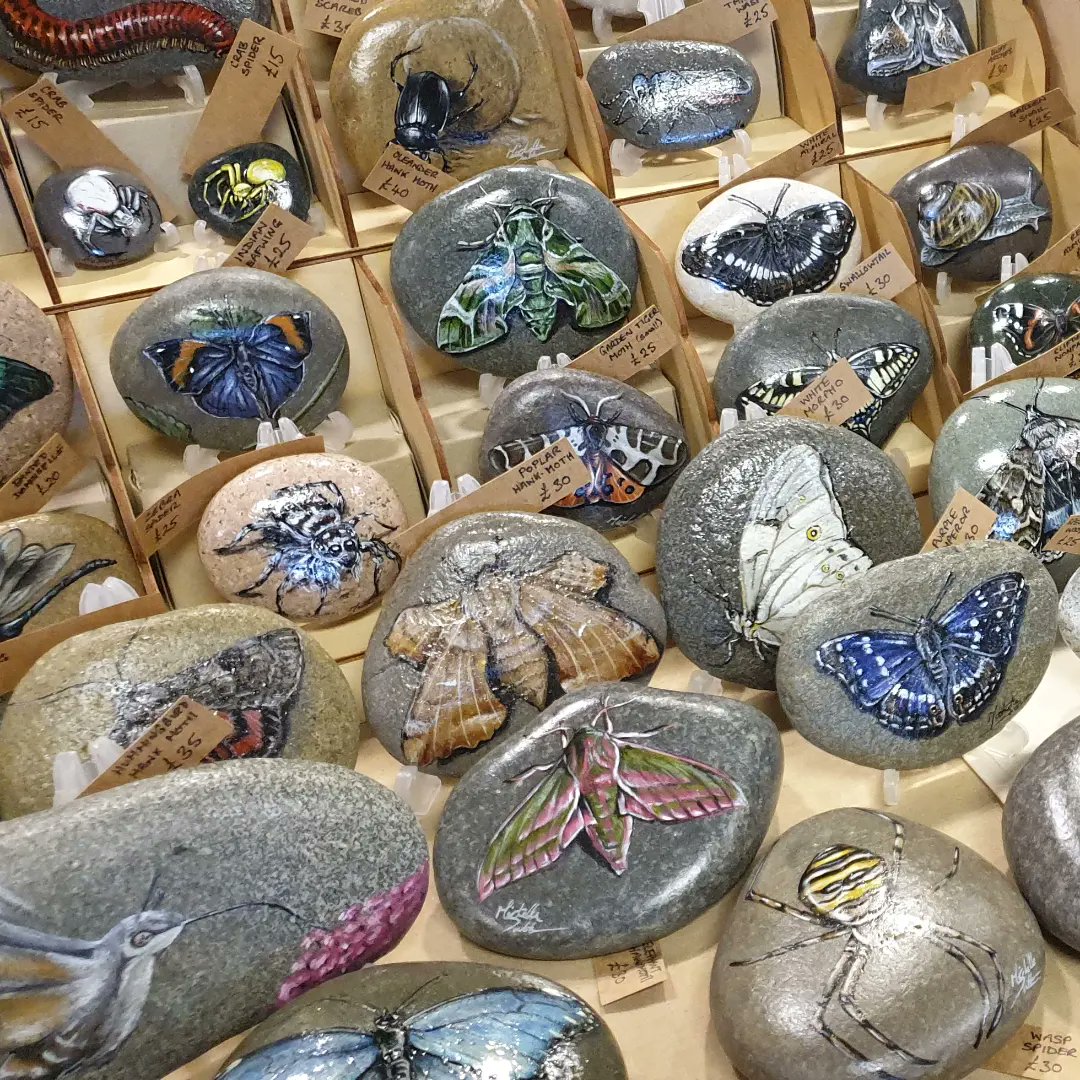MSuttonArt's tweet photo. Back at #AESFair @amentsoc with a range of #PaintedRocks #PebblePets and #PaintingonWood

Majority entomology themed but a nice range of wildlife as well.
https://t.co/NLLFTle4hl https://t.co/sVh8wnFrcz