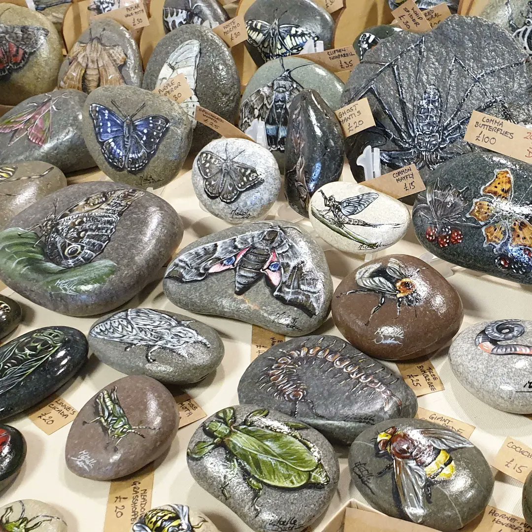 MSuttonArt's tweet photo. Back at #AESFair @amentsoc with a range of #PaintedRocks #PebblePets and #PaintingonWood

Majority entomology themed but a nice range of wildlife as well.
https://t.co/NLLFTle4hl https://t.co/sVh8wnFrcz
