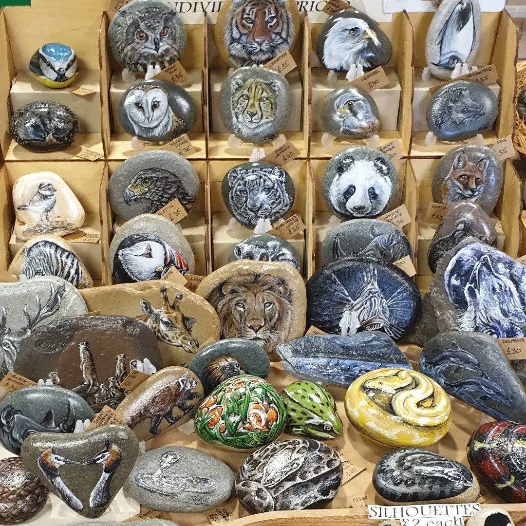 MSuttonArt's tweet photo. Back at #AESFair @amentsoc with a range of #PaintedRocks #PebblePets and #PaintingonWood

Majority entomology themed but a nice range of wildlife as well.
https://t.co/NLLFTle4hl https://t.co/sVh8wnFrcz