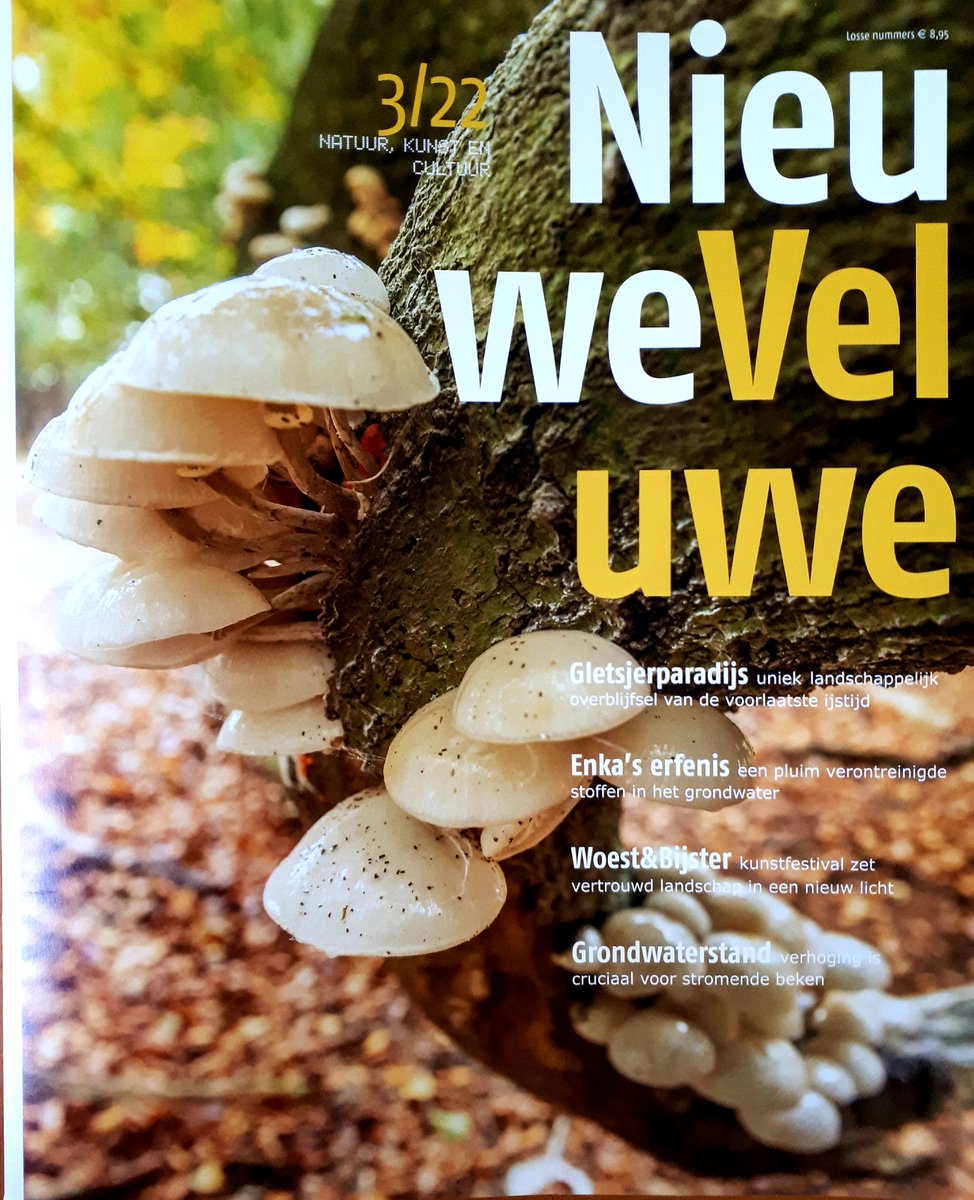 We hebben weer een <a href="/NieuweVeluwe/">NieuweVeluwe</a> afgeleverd. Voor iedereen met écht hart voor de #Veluwe.