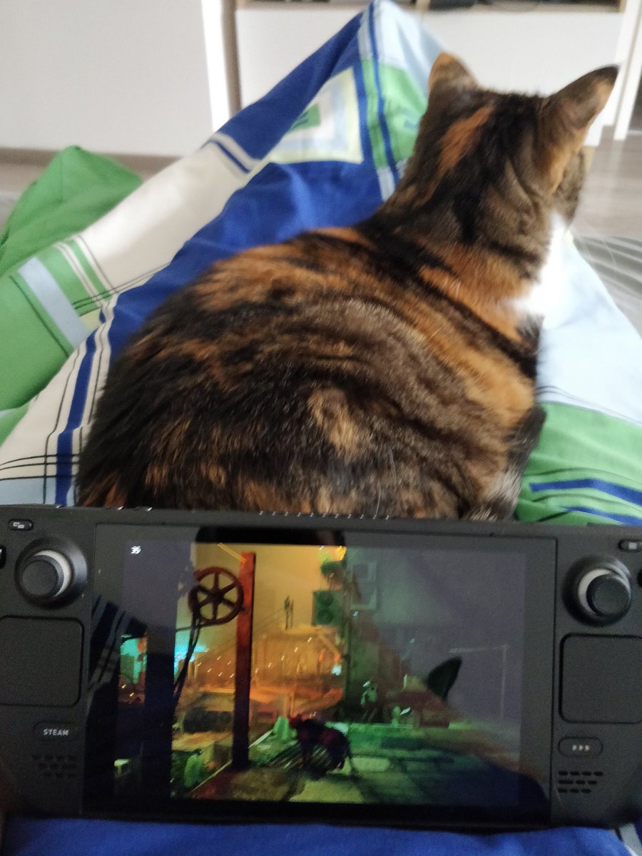 Got a little bit sick. Sadly no VIECC for me. But luckily the Steam Deck arrived yesterday. 🐱