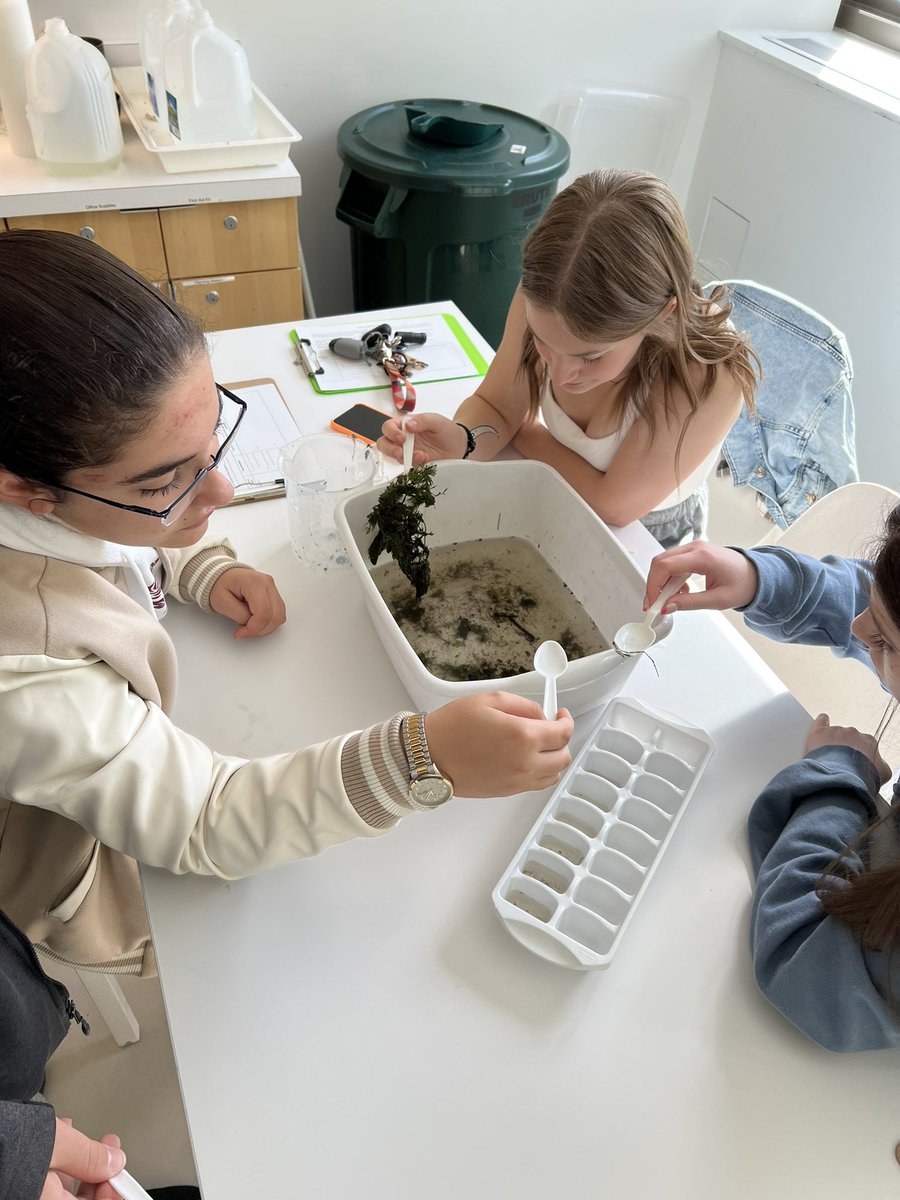 LPranke's tweet photo. This week we decided to go explore nature itself! Bio 1 got to research water quality and search for macro invertebrates at the @chicagobotanic https://t.co/hrYGBGlJuT