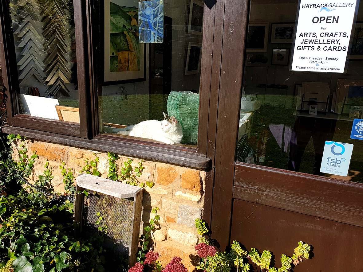 Hayrack Gallery tweet media