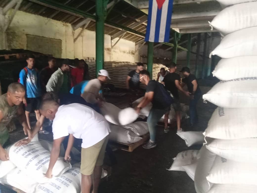 Buenos días, seguimos en #Artemisa, ahora vamos camino al municipio San Cristóbal. La fuerza de los jóvenes universitarios en la recuperación, juntando brazos y esfuerzos. #CubaViveyTrabaja #FuerzaCuba