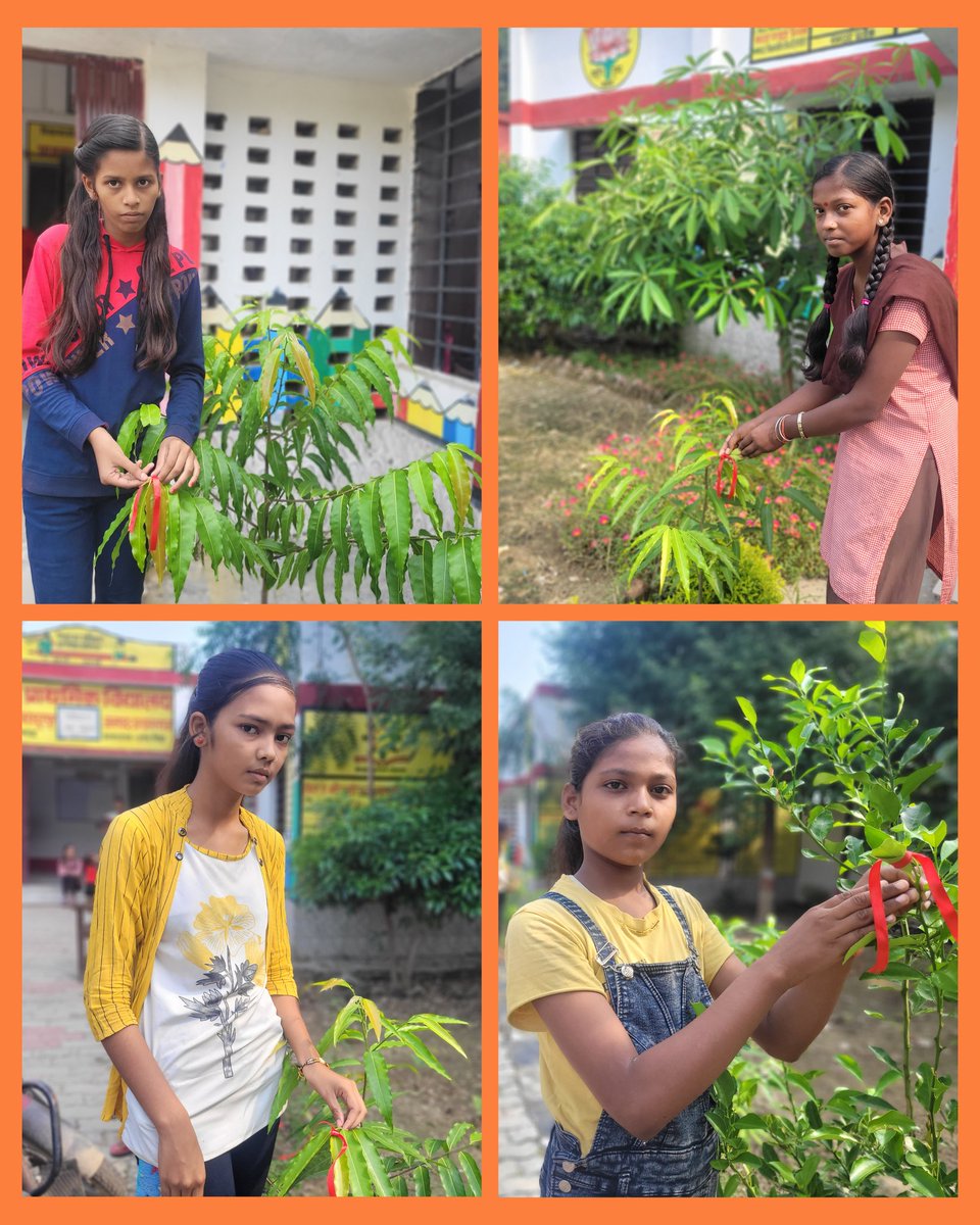 🌳#प्रकृति_मित्र, #nature_friend🌳
Name- Dr Mini Ohri 
Designation: A.T.
Address: U.P.S. Dalapur (1-8)Bahadurpur Prayagraj 
<a href="/shikshansamvad/">मिशन शिक्षण संवाद @shikshansamvad</a>
<a href="/RedTapeMovement/">Red Tape Movement 🌳</a> 
<a href="/teachersclubup/">teachers club</a> <a href="/UNEP/">UN Environment Programme</a> <a href="/UNBiodiversity/">UN Biodiversity</a> <a href="/ipbes/">ipbes</a> <a href="/eriksolheim/">Erik Solheim</a> 
साभार : मिशन शिक्षण संवाद