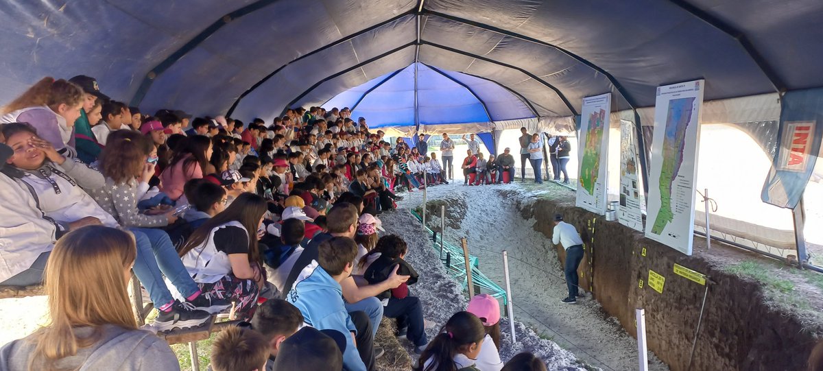 Juan Manuel Picco tweet media