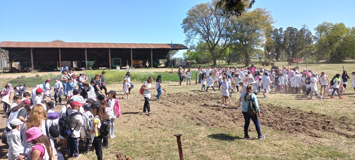 Juan Manuel Picco tweet media