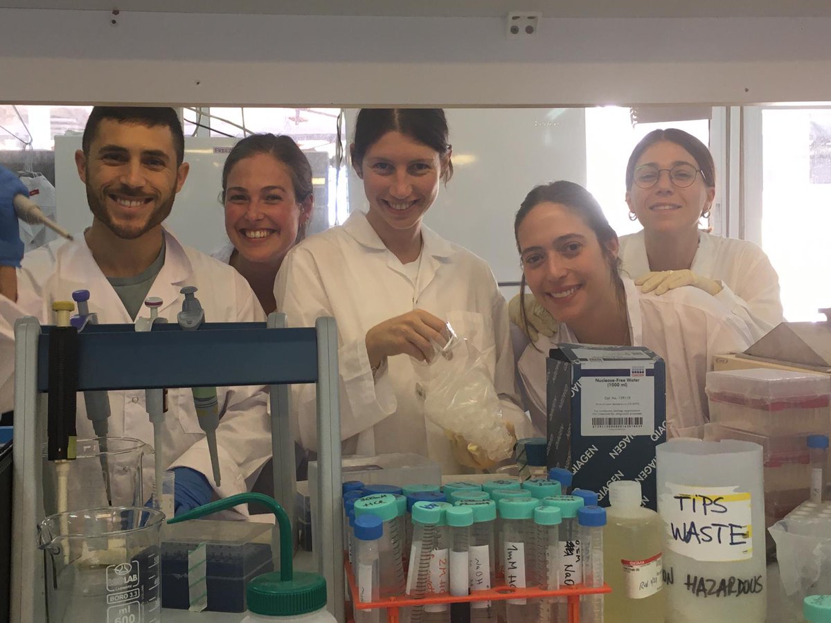 FishAI_'s tweet image. IOLR Fish-AI team had hosted the students of the undergraduate course "Introduction to Mariculture" of the Hebrew University in Jerusalem. Dr. Marcelo Chacon and Dr. Liat Koch mentored a group of students during their short-term research project.