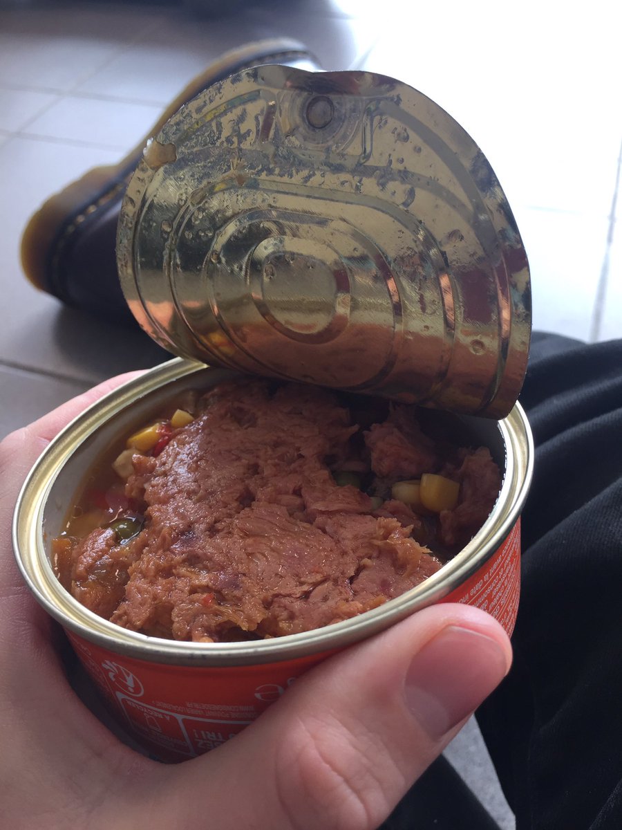 josh_lbe's tweet photo. @Ryanair @askryanair @RyanairPress plane delayed for 8hrs! This is the food we’re served whilst waiting - I wouldn’t give this to my cat! Seriously disappointed 🤮 so hungry! https://t.co/rVByzWHlVg