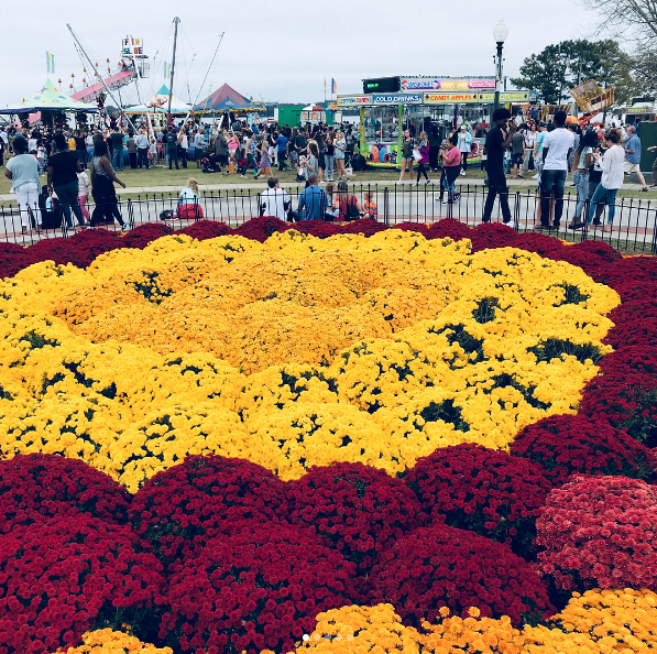 VisitNewBern's tweet photo. It's officially mum month in New Bern which means a calendar full of events. Check out our calendar and get ready to have some fun! https://t.co/iBS1v99t09 #mumfest #mumfeast #mumfestconcert #jimmieallen #concert #ghostwalk #artistsstudiotour https://t.co/sZizuI20bv