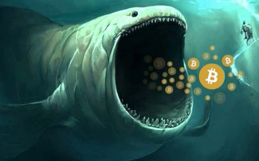 Crypto Rover tweet media