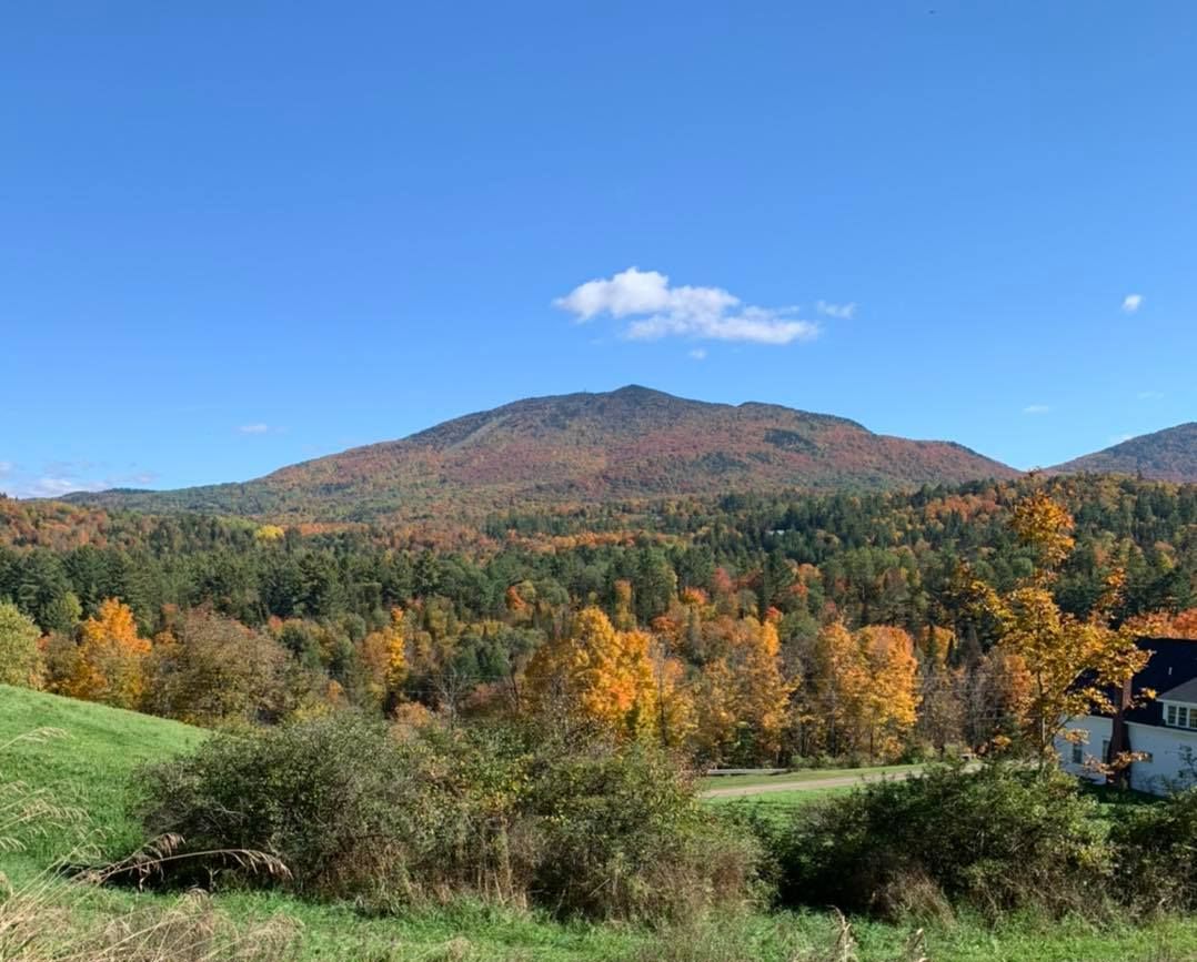 Leaf Peeping, dog parties and Oktoberfest!  #BurkeVT conta.cc/3UQgrQ6