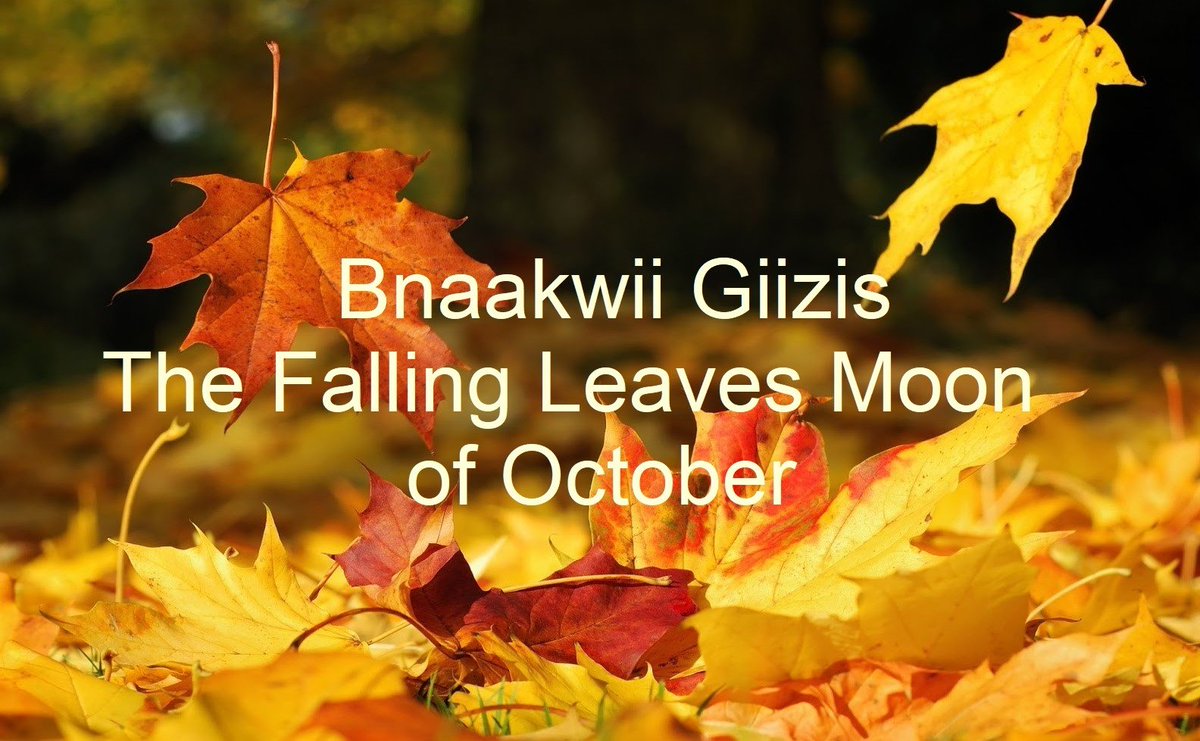 Not sure where September went lol... it sure flew by. Today we welcome in the 1st day of Bnaakwii Giizis The Falling Leaves Moon of October. It can also be said as Bnaakwii Dibi-Giizis. Wishing everyone a good day &amp; a happy &amp; healthy month ahead! ❤