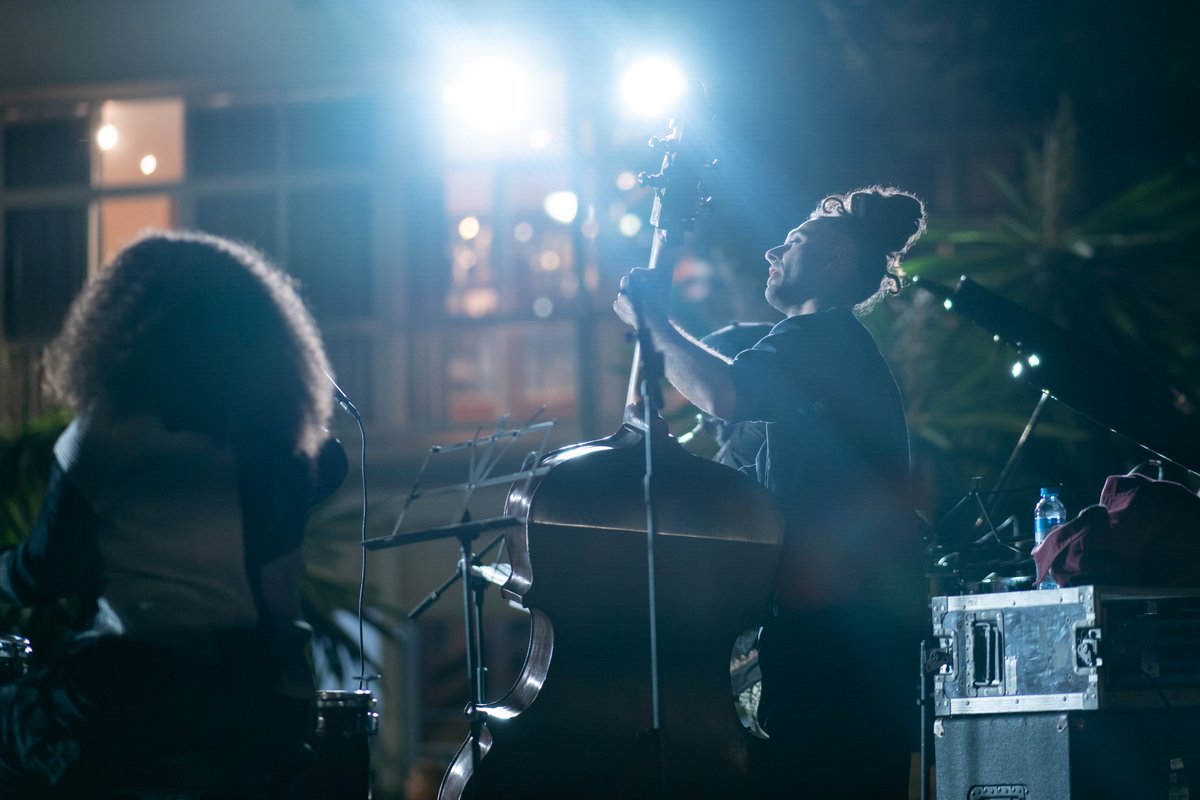 Música Sur tweet media