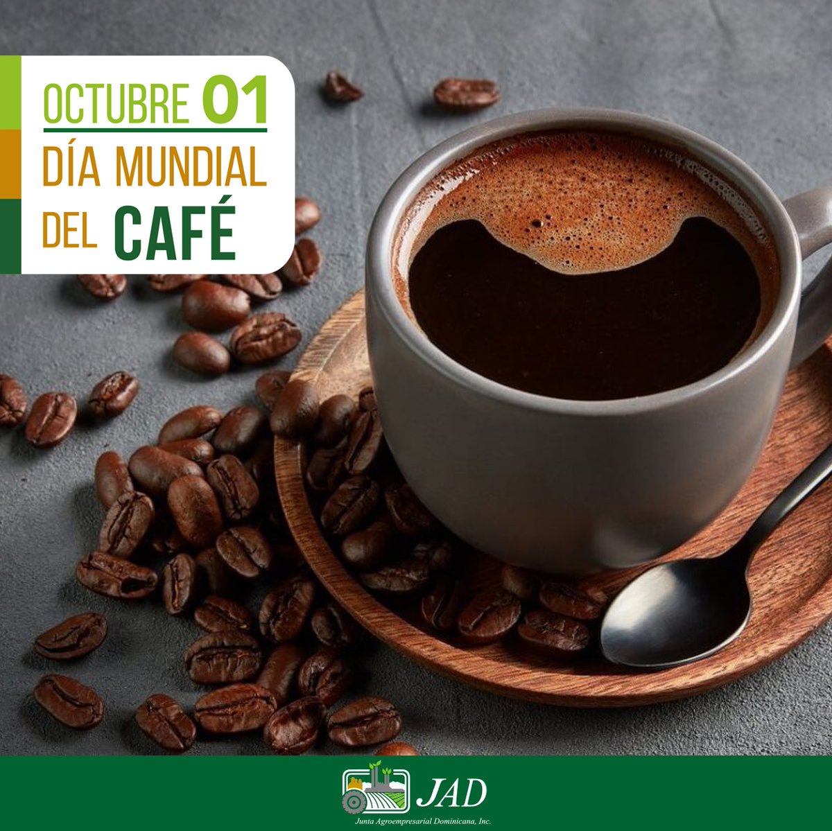 jad_agroempresa's tweet photo. Hoy es el #DíaMundialDelCafé, una de las bebidas más consumidas en el mundo. ☕️

La #JADFelicita a todos nuestros socios caficultores por formar una larga tradición en la industria de uno de los principales productos de exportación del país. https://t.co/yOyENhrl6x
