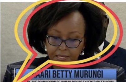 terasbeti's tweet photo. Fascist #TPLF terrorist leaders said “the war will be a people’s war, starting with children.”Despite ample evidence of use of child soldiers by the Terrorist #TPLF, #ICHR experts on #Ethiopia #Coomaraswamy, #Ratner & #Murungi turned a #blindeye #deafears & #mutedlips @HermelaTV https://t.co/lARI3VqM29