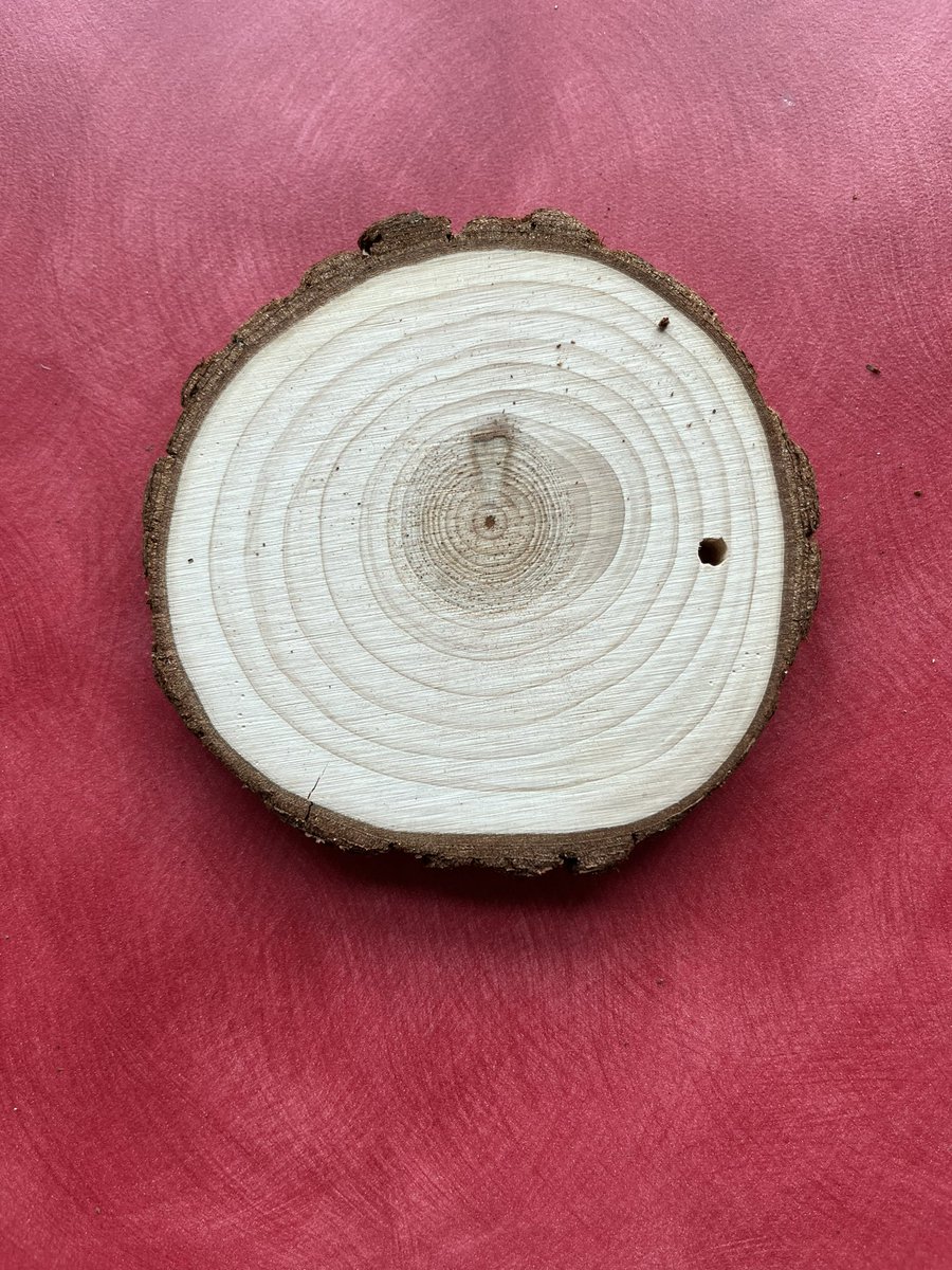 Julia's #STEAMing up Learning! tweet media